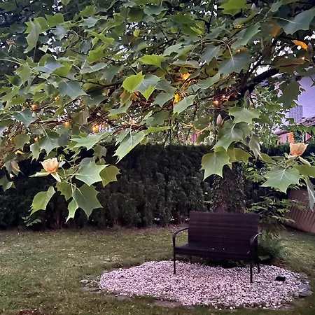 Haus Mit Garten 別荘