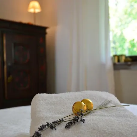 Hébergement de vacances Haus Mit Garten