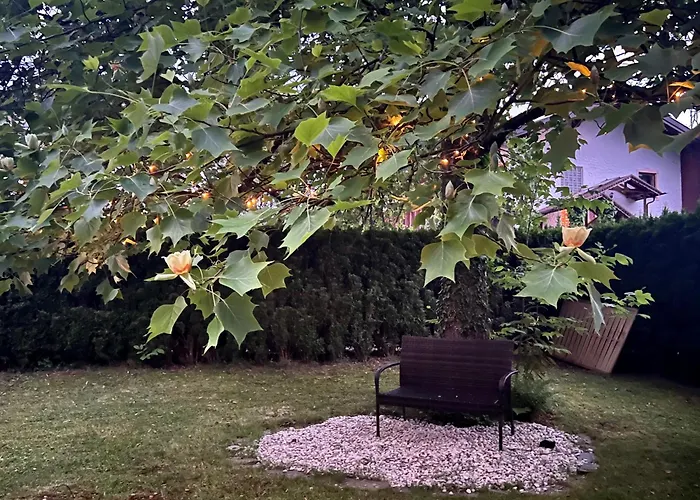 Haus Mit Garten Casa vacanze